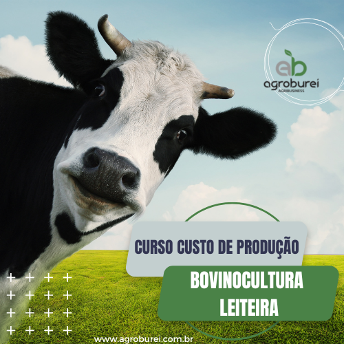 Custos de Produção na Bovinocultura Leiteira