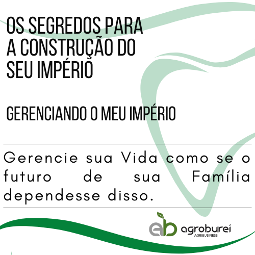Gerenciando o Meu Império - Curso