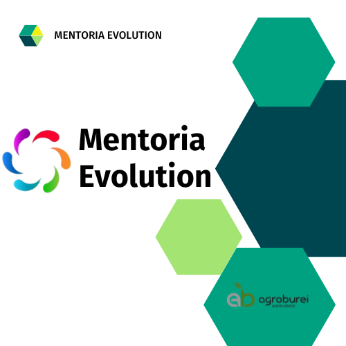 Mentoria Evolution